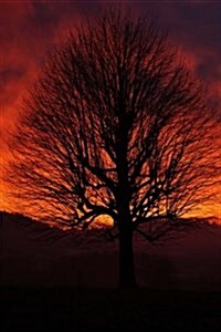 A Stunning Sunset and a Solitary Tree Journal: Take Notes, Write Down Memories in this 150 Page Lined Journal (Paperback)
