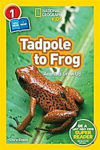 [중고] National Geographic Readers: Tadpole to Frog (L1/Coreader) (Paperback)