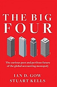 The Big Four: The Curious Past and Perilous Future of the Global Accounting Monopoly (Hardcover)