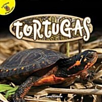 Tortugas: Turtles (Library Binding)