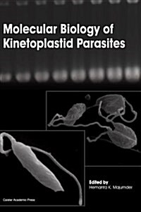 Molecular Biology of Kinetoplastid Parasites (Paperback)