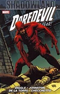 Shadowland: Daredevil (Paperback)