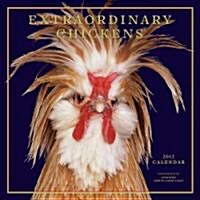 Extraordinary Chickens 2012 Calendar (Paperback, Wall)