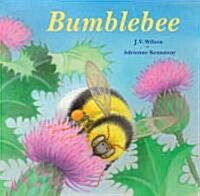 Bumblebee (Hardcover)