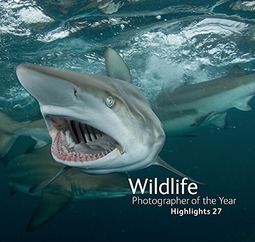 Wildlife Photographer of the Year: Highlights : Volume 3 (Paperback)