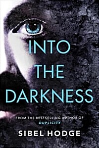 Into the Darkness (Paperback)