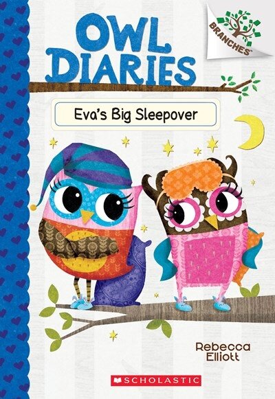 [중고] Owl Diaries #9 : Eva‘s Big Sleepover (Paperback)