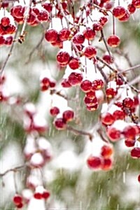 Winter Berries Red White Christmas Colors Snowstorm Journal: (Notebook, Diary, Blank Book) (Paperback)