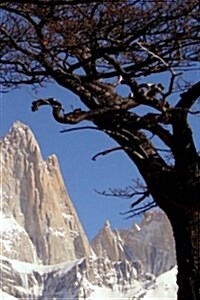 Patagonia Notebook (Paperback)