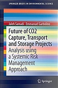 Future of Co2 Capture, Transport and Storage Projects: Analysis Using a Systemic Risk Management Approach (Paperback, 2018)