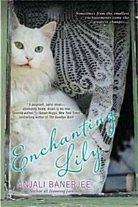 Enchanting Lily (Paperback, 1st)