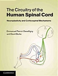The Circuitry of the Human Spinal Cord : Spinal and Corticospinal Mechanisms of Movement (Hardcover)