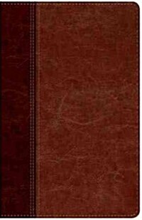 Santa Biblia-Ntv (Imitation Leather)