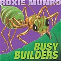 Busy Builders (Hardcover)