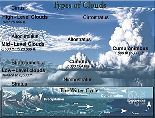 Types of Clouds Chart (Chart)
