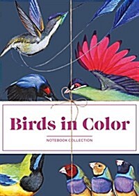 Birds in Color Notebook Collection (Other)