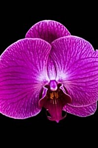 Stunning Deep Purple Orchid Flower Bloom Journal: Take Notes, Write Down Memories in this 150 Page Lined Journal (Paperback)