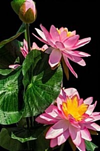 Stunning Lotus Flower Blooms Journal: Take Notes, Write Down Memories in this 150 Page Lined Journal (Paperback)