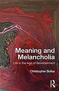 Meaning and Melancholia : Life in the Age of Bewilderment (Paperback)