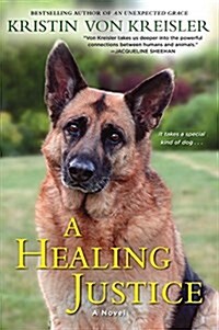 A Healing Justice (Paperback)