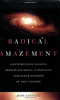 Radical Amazement (Paperback)