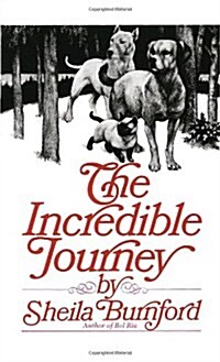 Incredible Journey (Mass Market Paperback)