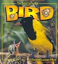 The Life Cycle of a Bird (Paperback, Illustrated)