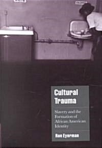 Cultural Trauma : Slavery and the Formation of African American Identity (Paperback)