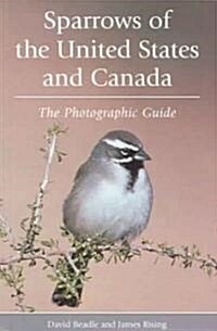 Sparrows of the United States and Canada: The Photographic Guide (Paperback)
