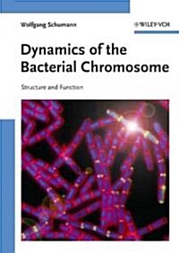 Dynamics of the Bacterial Chromosome (Hardcover, 1st)