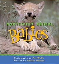 Northwest Animal Babies (Paperback)