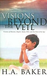 Visions Beyond the Veil (Paperback)