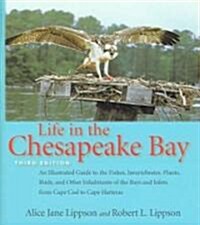 Life in the Chesapeake Bay (Hardcover, 3)