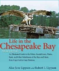 [중고] Life in the Chesapeake Bay (Paperback, 3)