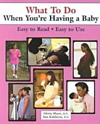 What to Do When Youre Having a Baby (Paperback)