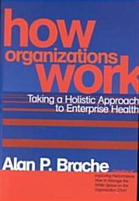 How Organizations Work: Taking a Holistic Approach to Enterprise Health (Hardcover)