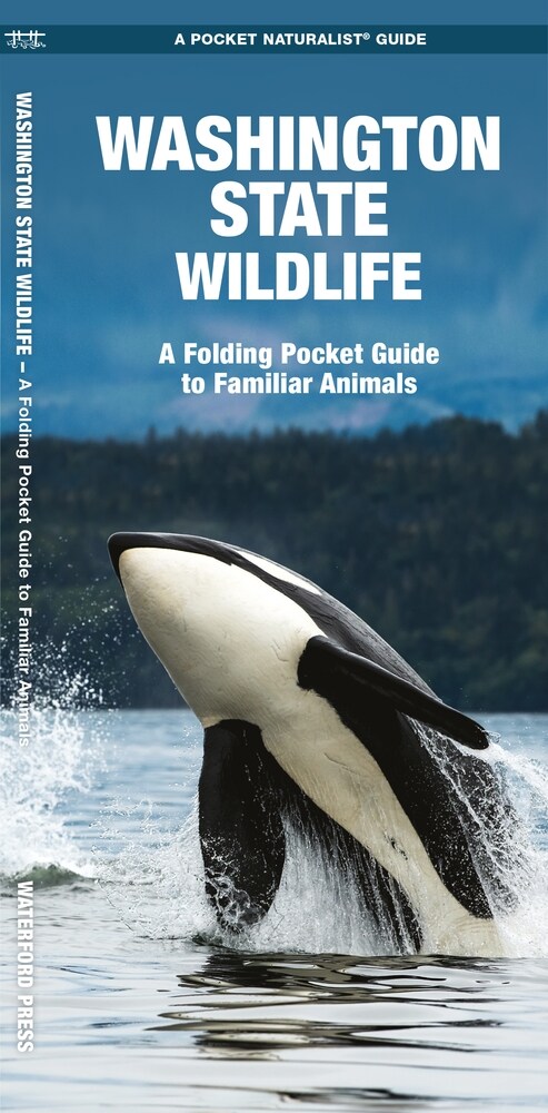 Washington State Wildlife: A Folding Pocket Guide to Familiar Animals (Hardcover)