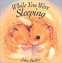 While You Were Sleeping (Board Books)