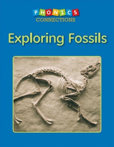 Exploring Fossils (Paperback)