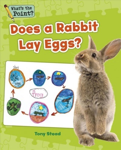 Does a Rabbit Lay Eggs? (Paperback)