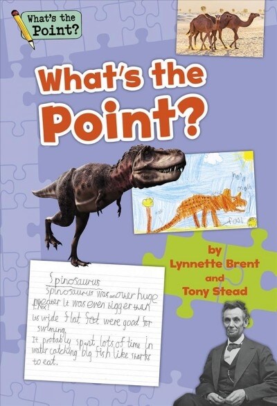 Whats the Point? Grade 2 Big Book (Paperback)