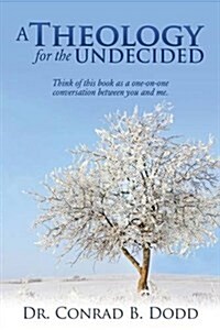 A Theology for the Undecided (Paperback)