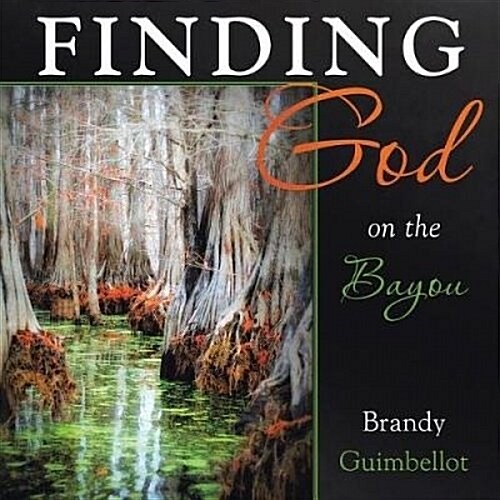 Finding God on the Bayou (Paperback)