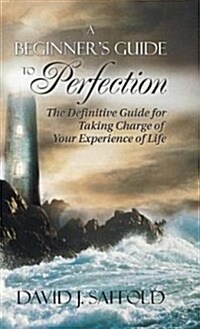 A Beginners Guide to Perfection: The Definitive Guide for Taking Charge of Your Experience of Life (Hardcover)