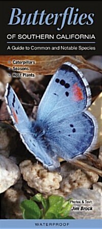 Butterflies of Southern California: A Guide to Common and Notable Species (Other)