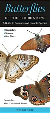 Butterflies of the Florida Keys: A Guide to Common & Notable Species (Other)