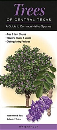 Trees of Central Texas: A Guide to Common Native Species (Other)