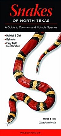 Snakes of North Texas: A Guide to Common & Notable Species (Other)