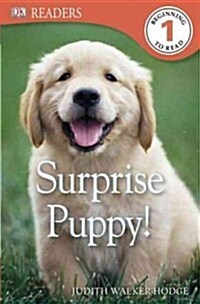 [중고] DK Readers L1: Surprise Puppy (Paperback)