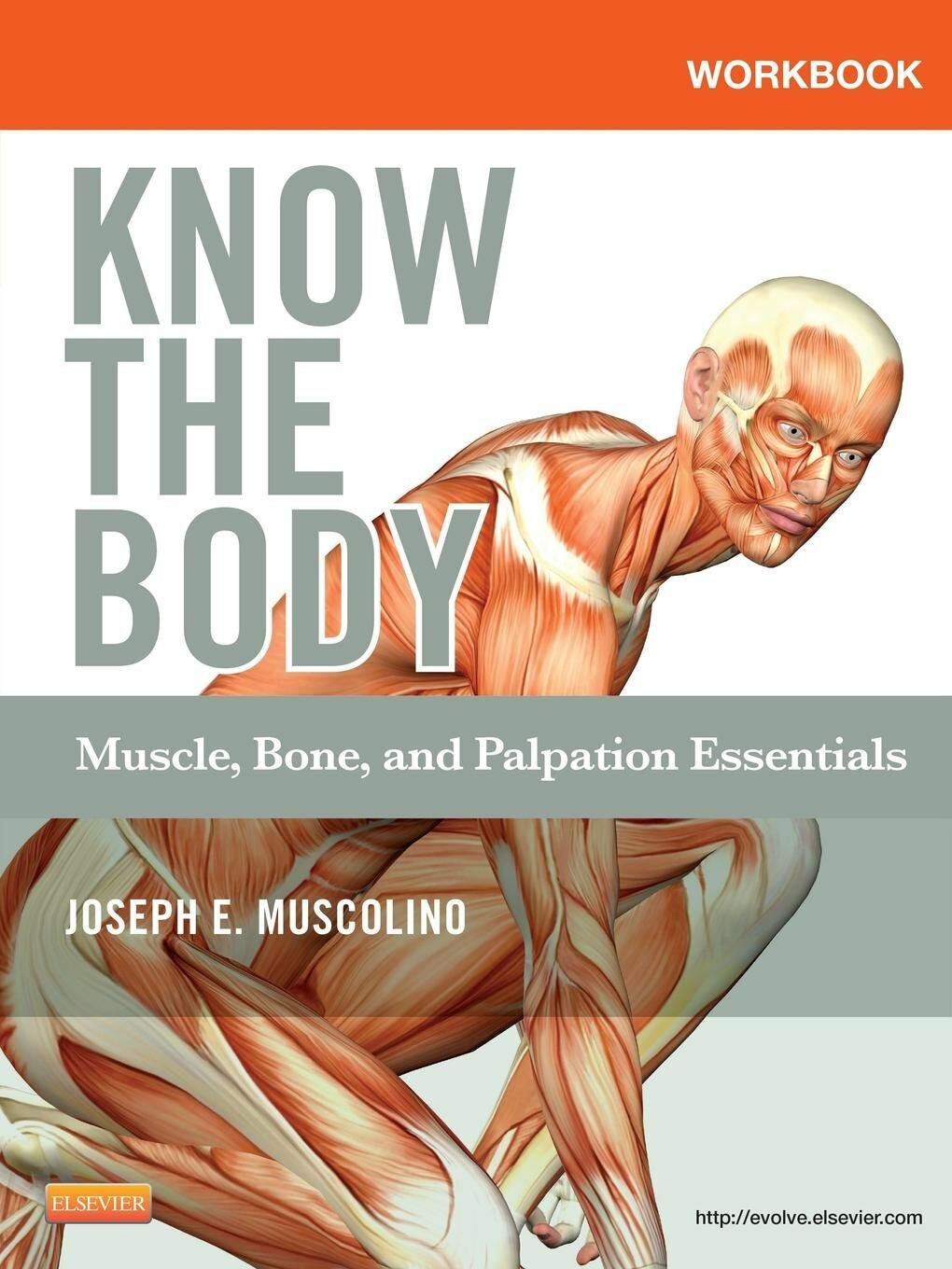 Workbook for Know the Body: Muscle, Bone, and Palpation Essentials (Paperback)
